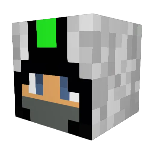Donkey_Ryder Minecraft avatar head, 3D render