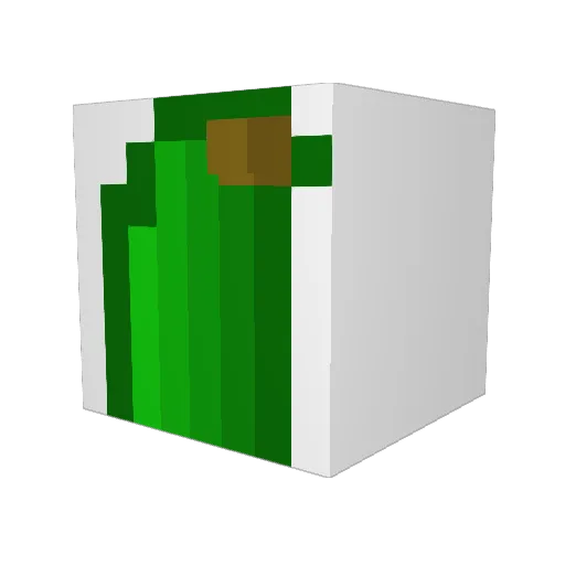 Donkeyballs9 Minecraft avatar head, 3D render