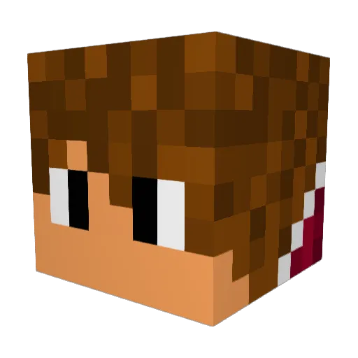 Donkeykong435 Minecraft avatar head, 3D render