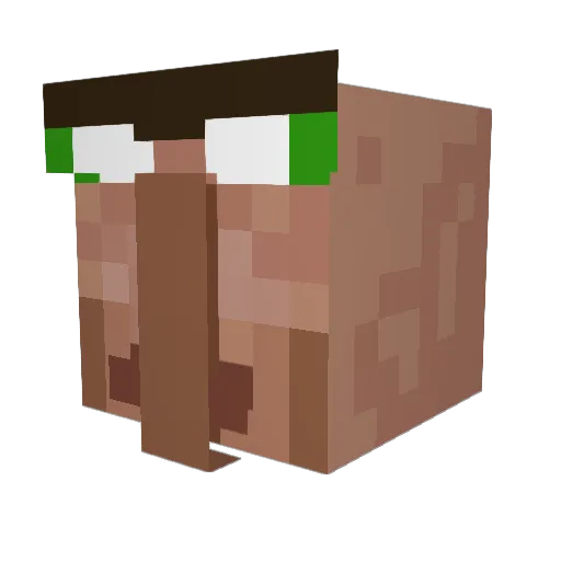 Donki1234 Minecraft avatar head, 3D render