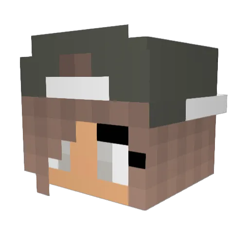 Donklers Minecraft avatar head, 3D render