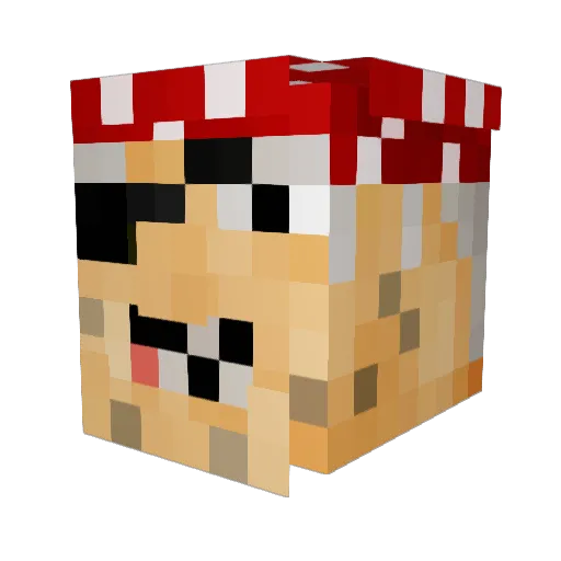Donkquad Minecraft avatar head, 3D render