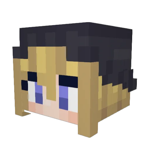 Donktimized Minecraft avatar head, 3D render
