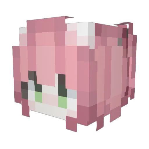 Donmonique Minecraft avatar head, 3D render