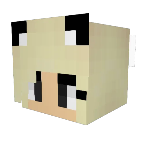 DonnaJo Minecraft avatar head, 3D render