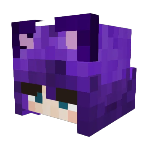 DonnaKaba Minecraft avatar head, 3D render