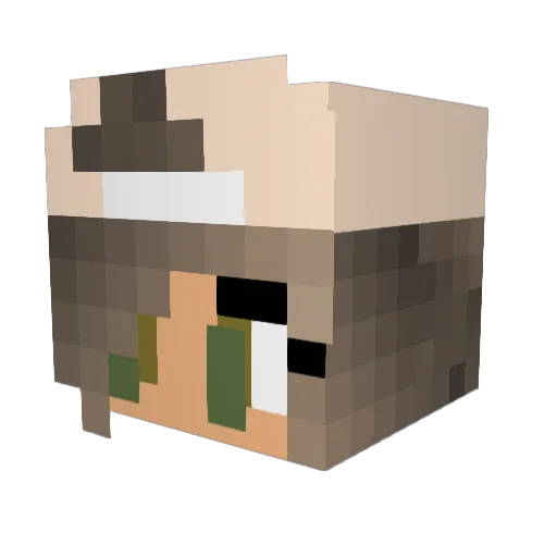 Donnarizona Minecraft avatar head, 3D render