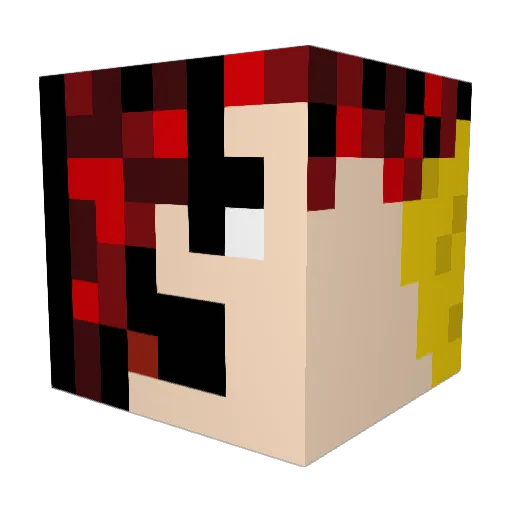 DonnerBear Minecraft avatar head, 3D render