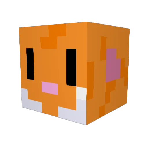 DonnerHaken3620 Minecraft avatar head, 3D render