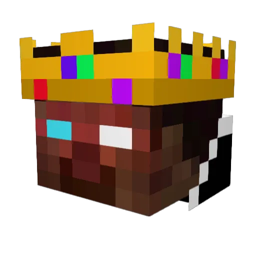 DonnerWolke13 Minecraft avatar head, 3D render