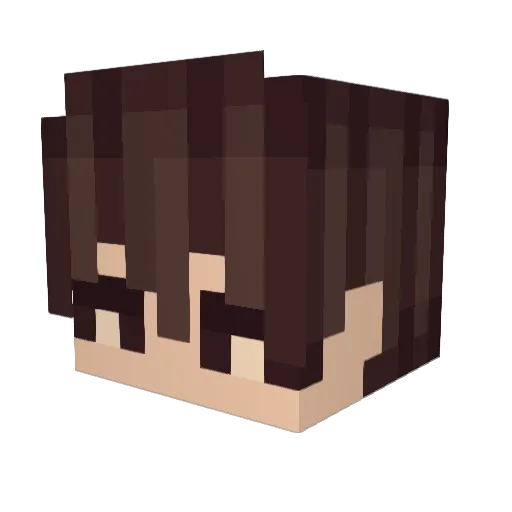 Donnertornado Minecraft avatar head, 3D render