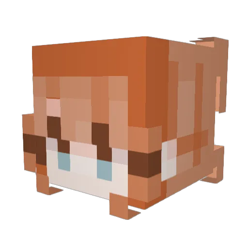 Donney04 Minecraft avatar head, 3D render