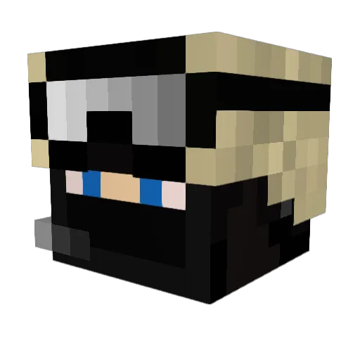 DonnieManarello Minecraft avatar head, 3D render