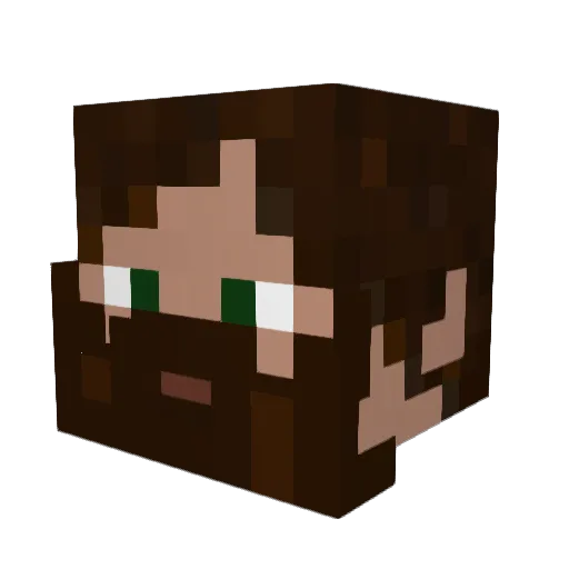DonnieSWE Minecraft avatar head, 3D render