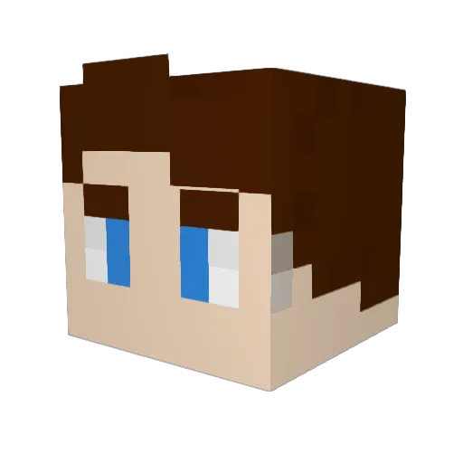 Donnii Minecraft avatar head, 3D render