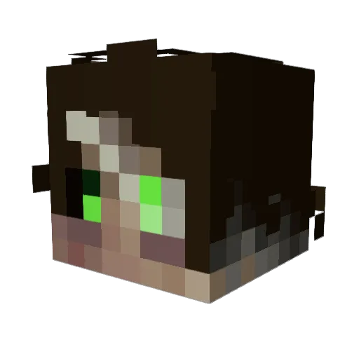 Donninja_ Minecraft avatar head, 3D render