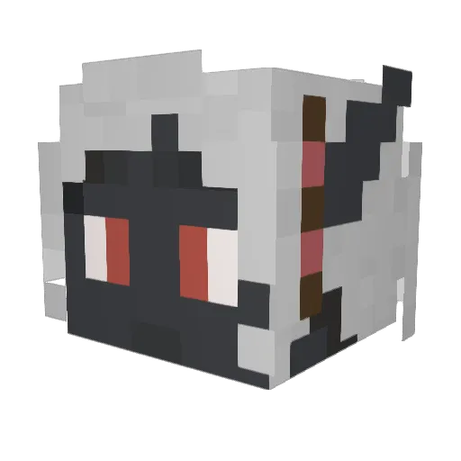 Donny1479 Minecraft avatar head, 3D render