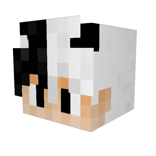 DonnyBlood Minecraft avatar head, 3D render