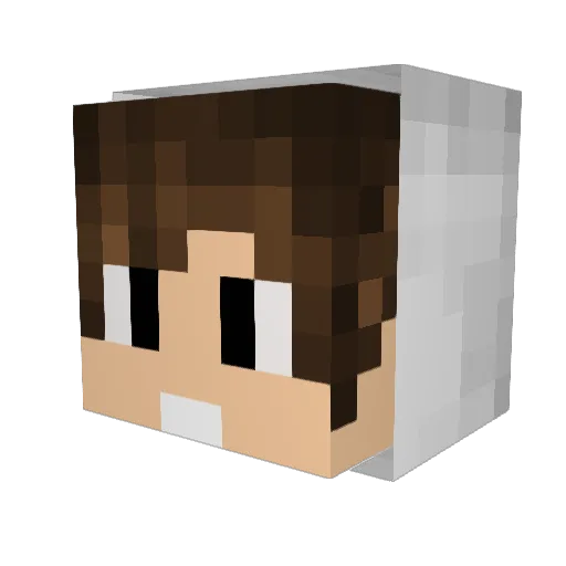 DonnyBresko Minecraft avatar head, 3D render