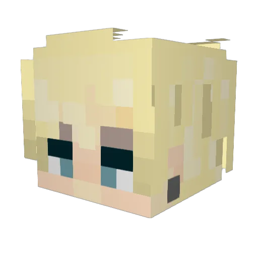 DonnyBrew Minecraft avatar head, 3D render