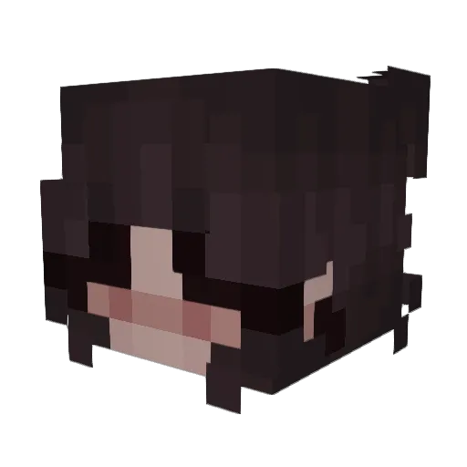 DonnyDarkBeard Minecraft avatar head, 3D render