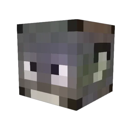 DonnyG4 Minecraft avatar head, 3D render