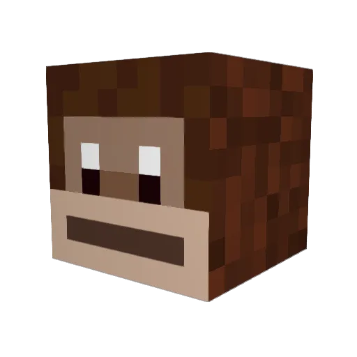DonnyGreg Minecraft avatar head, 3D render