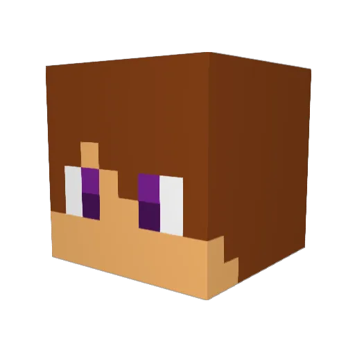 DonnyTaco Minecraft avatar head, 3D render