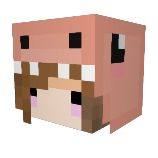 DonnyTurtle Minecraft avatar head, 3D render