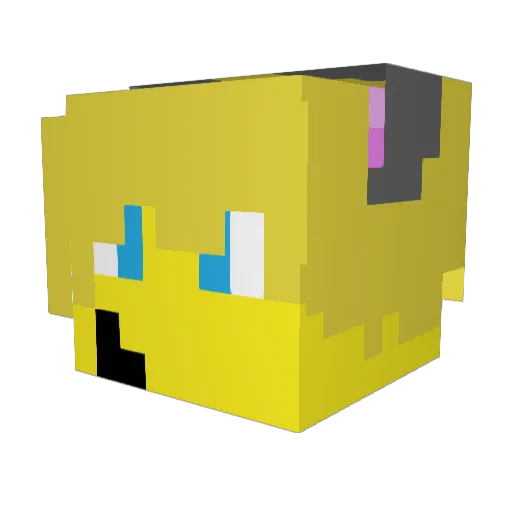 Donnyg117 Minecraft avatar head, 3D render