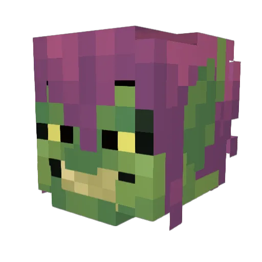 Donnys Minecraft avatar head, 3D render