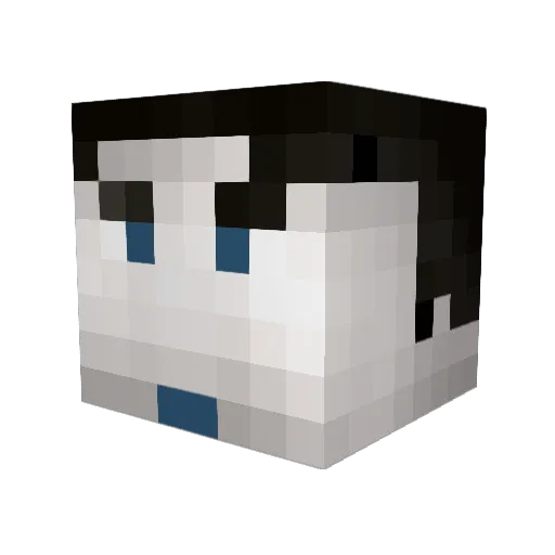 Donoc Minecraft avatar head, 3D render