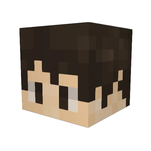 Donocean Minecraft avatar head, 3D render
