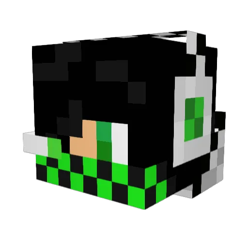 Donovanplaysmc Minecraft avatar head, 3D render
