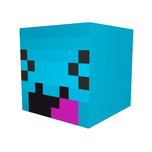 Donshu22 Minecraft avatar head, 3D render