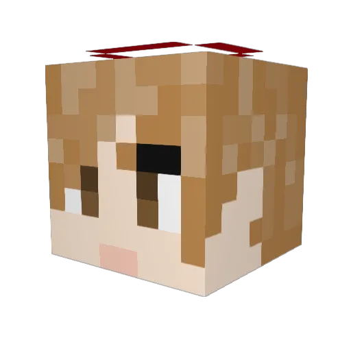 Donspiry Minecraft avatar head, 3D render