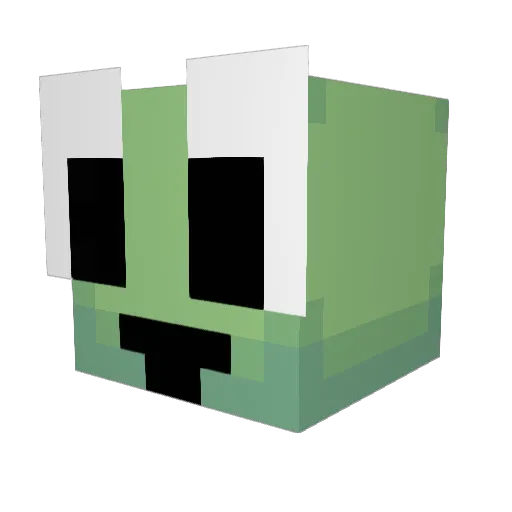 DontBeAHoe06 Minecraft avatar head, 3D render