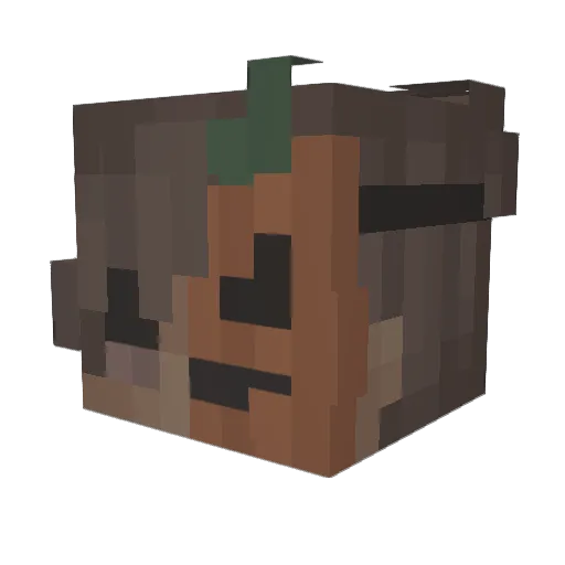 DontChoke Minecraft avatar head, 3D render