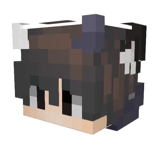 DontCrystalMen Minecraft avatar head, 3D render