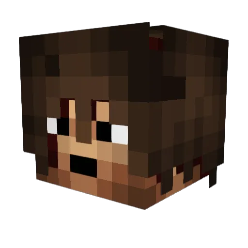 DontDieDaryl13 Minecraft avatar head, 3D render