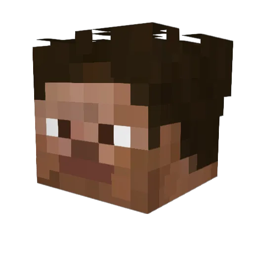 DontForgetMee8 Minecraft avatar head, 3D render