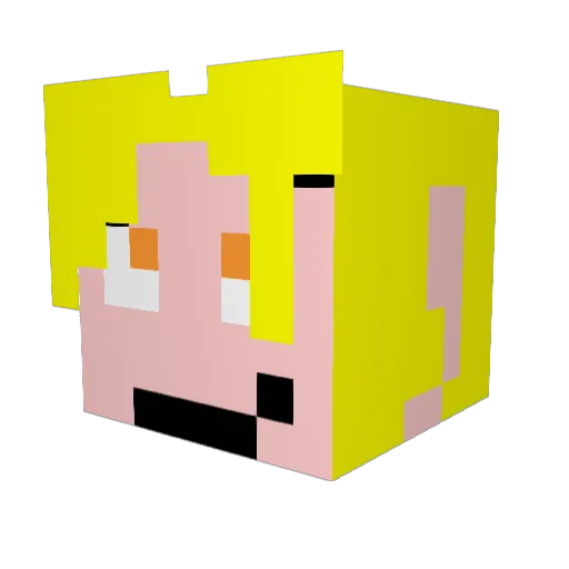 DontHackOnNCP Minecraft avatar head, 3D render