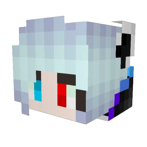 DontJudgeChopper Minecraft avatar head, 3D render