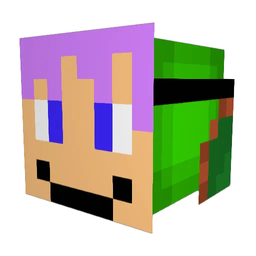 DontKnowLeo Minecraft avatar head, 3D render
