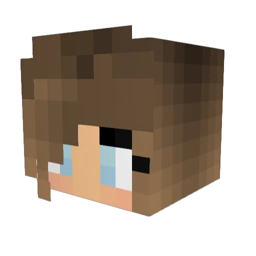 DontLetMeSink3 Minecraft avatar head, 3D render