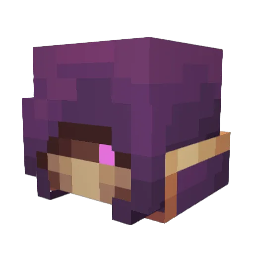DontPorkthePig Minecraft avatar head, 3D render