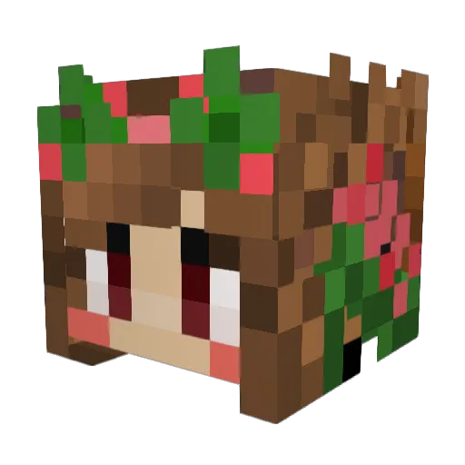 DontPutForksInMe Minecraft avatar head, 3D render