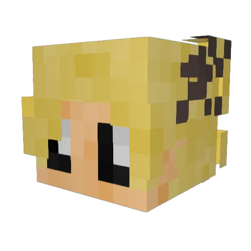 DontQuestionIt23 Minecraft avatar head, 3D render