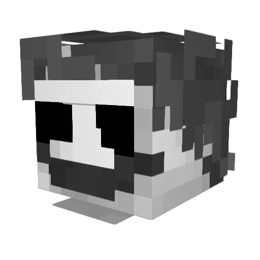 DontRunPlease Minecraft avatar head, 3D render