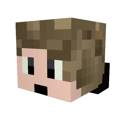 DontSnitch Minecraft avatar head, 3D render